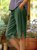 Casual Plain Linen Pants